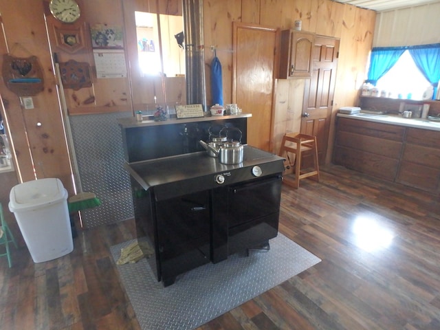 interior space with hardwood / wood-style flooring and wooden walls