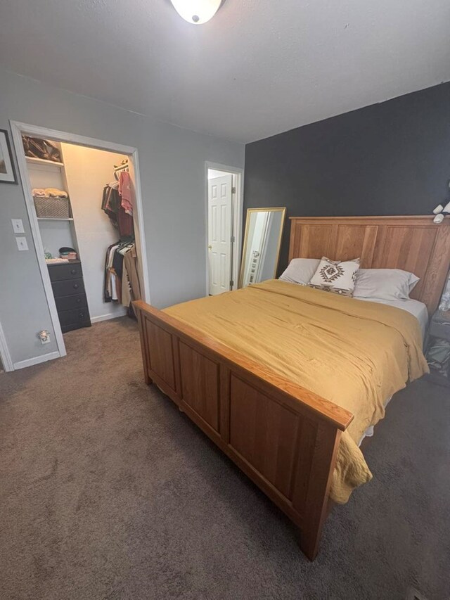 313 E 6th St, Milan, MO 63556 - bedroom with a walk in closet, a closet, and carpet