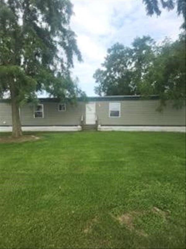 back of house featuring a yard