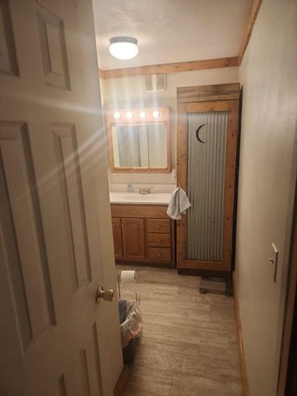 bathroom with hardwood / wood-style flooring and vanity