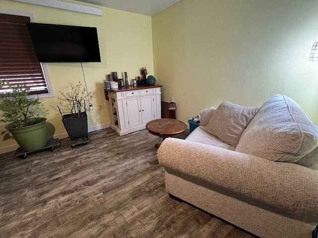 113 N Cottage Grove Ave, Kirksville, MO 63501 - living area with baseboards and dark wood finished floors