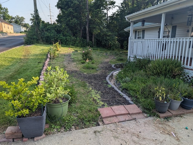 113 N Cottage Grove Ave, Kirksville, MO 63501 - view of yard with a porch
