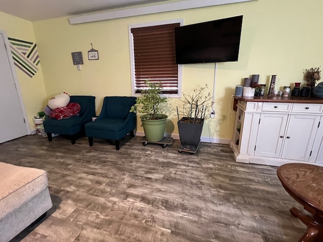 113 N Cottage Grove Ave, Kirksville, MO 63501 - living area featuring dark wood-type flooring and baseboards