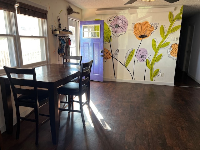 113 N Cottage Grove Ave, Kirksville, MO 63501 - dining area featuring dark wood-style floors, a textured ceiling, and baseboards