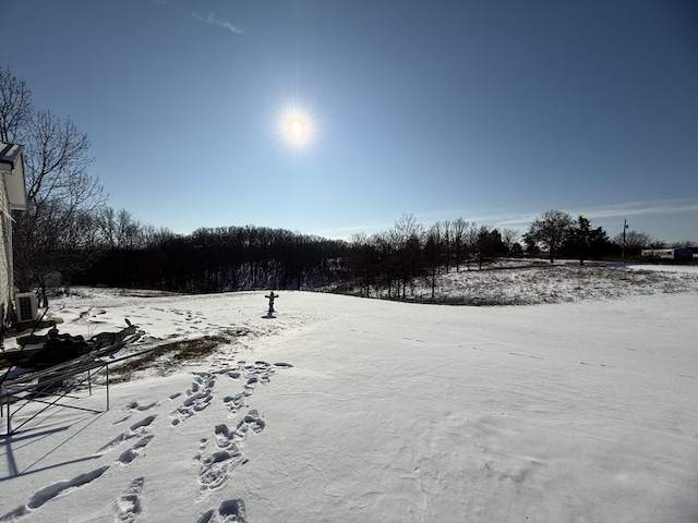 view of yard layered in snow