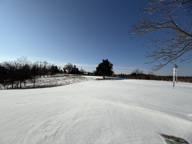 view of snowy yard