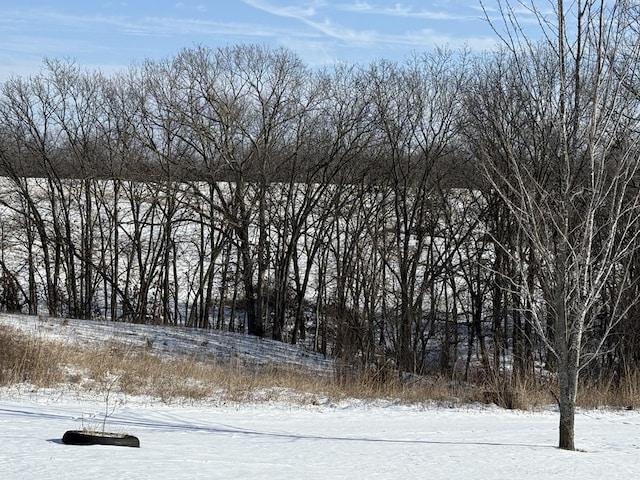 view of snowy landscape