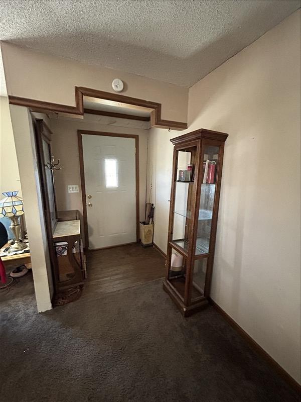 doorway to outside featuring dark carpet and a textured ceiling