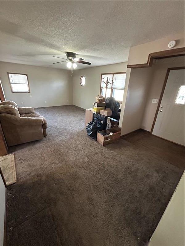 803 Coates St, Macon, MO 63552 - carpeted living room featuring a textured ceiling and ceiling fan