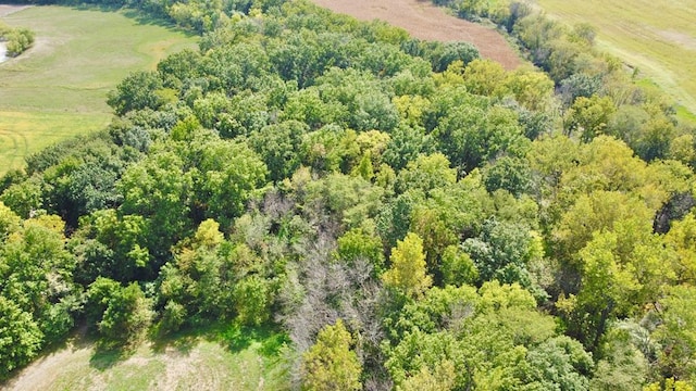 aerial view featuring a view of trees