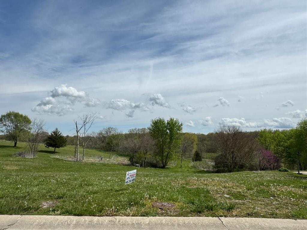 LOT20 Legacy Dr, Milan, MO 63556 - photo 1