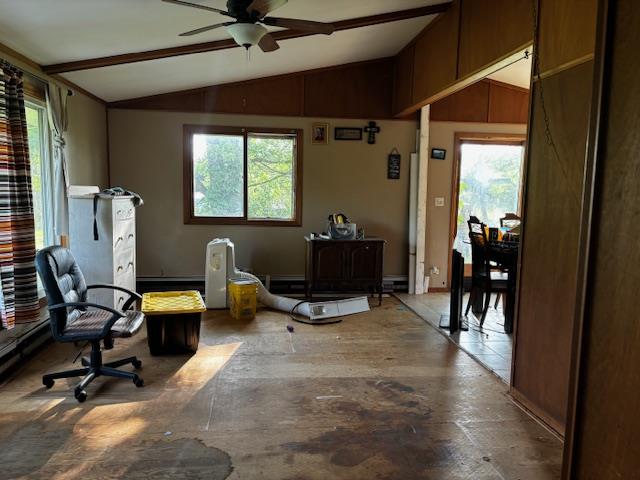26462 Haven Way, Kirksville, MO 63501 - office space featuring lofted ceiling, healthy amount of natural light, and a ceiling fan