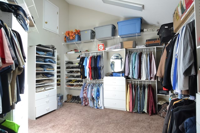 26672 Spring Lake Trl, Kirksville, MO 63501 - walk in closet with carpet floors and lofted ceiling