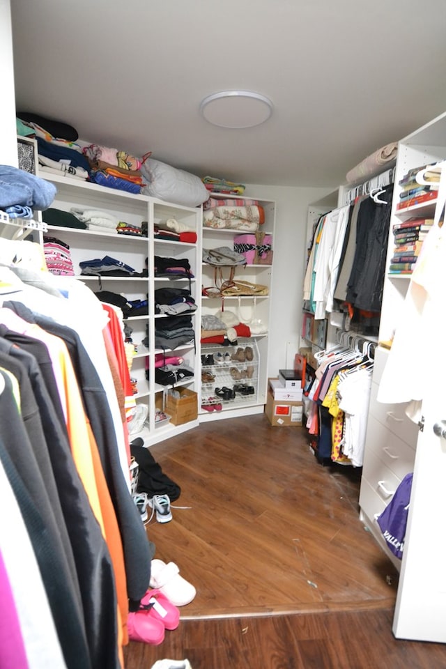 26672 Spring Lake Trl, Kirksville, MO 63501 - spacious closet with wood finished floors