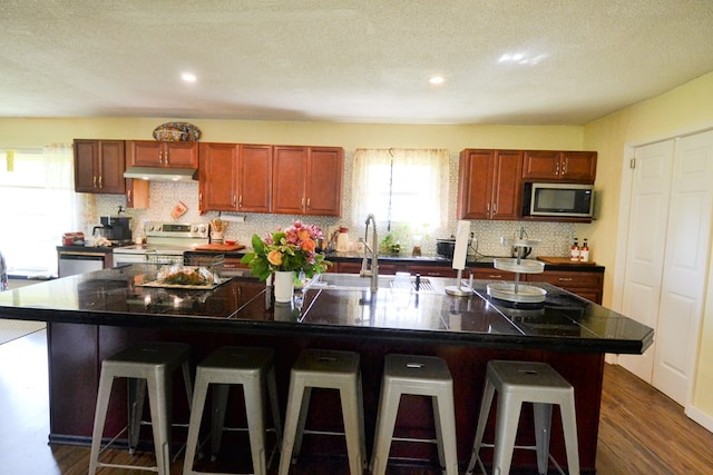 1719 N Osteopathy, Kirksville, MO 63501 - kitchen featuring stainless steel appliances, under cabinet range hood, a sink, a kitchen breakfast bar, and a large island