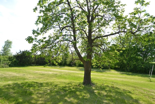 1719 N Osteopathy, Kirksville, MO 63501 - view of green lawn