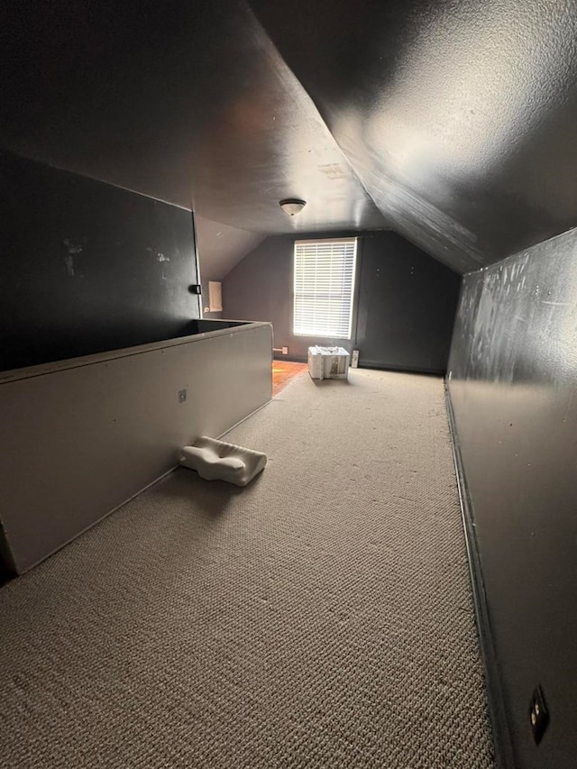 additional living space with vaulted ceiling, a textured ceiling, and carpet flooring