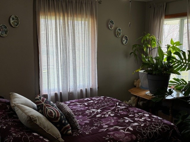 2 Center Dr, Kirksville, MO 63501 - view of bedroom