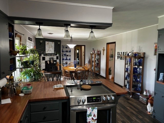 2 Center Dr, Kirksville, MO 63501 - kitchen featuring crown molding, a fireplace, wood finished floors, decorative light fixtures, and stainless steel electric range