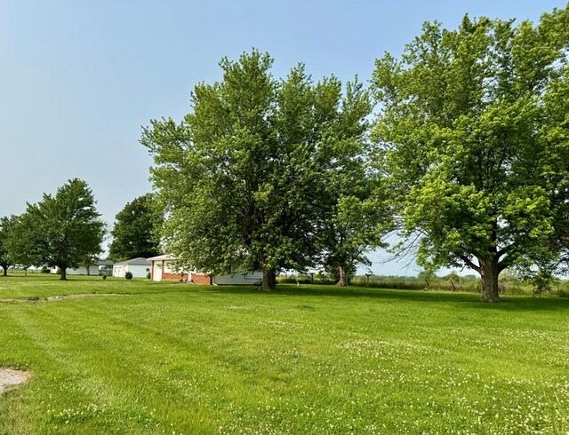 810 S W St, Green City, MO 63545 - view of green lawn