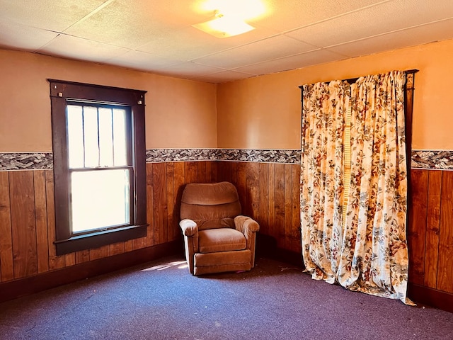 sitting room with dark colored carpet