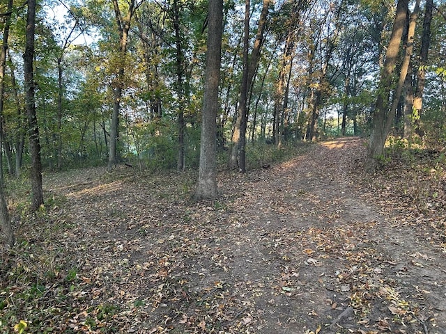 view of road