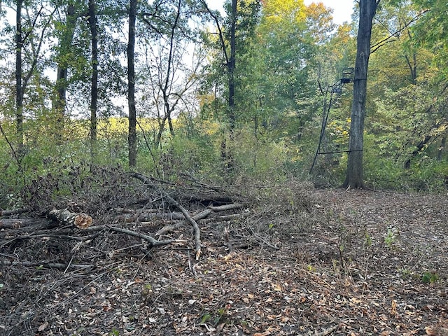 view of local wilderness