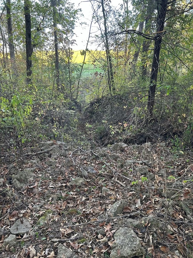 view of local wilderness