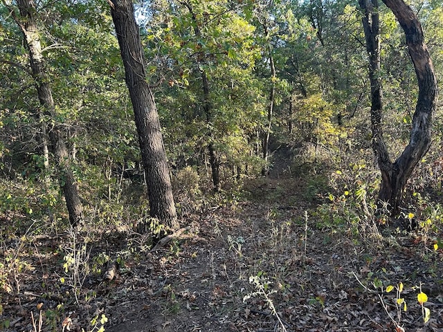 view of landscape