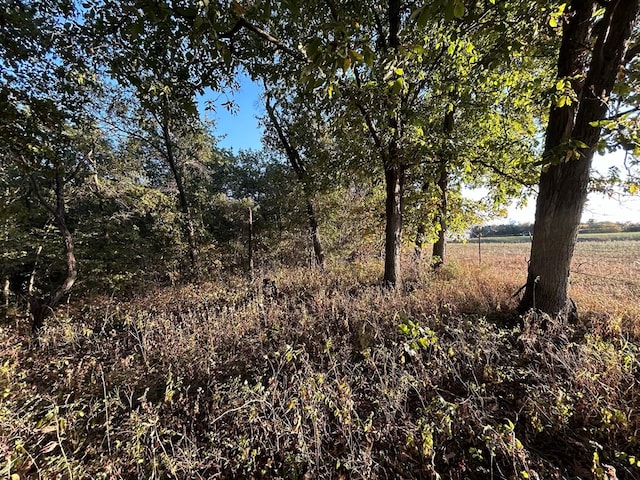 view of local wilderness