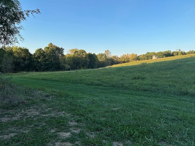 view of landscape with a rural view