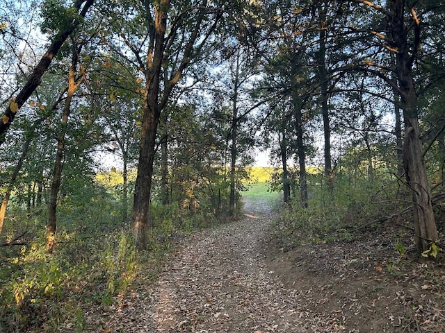 view of landscape