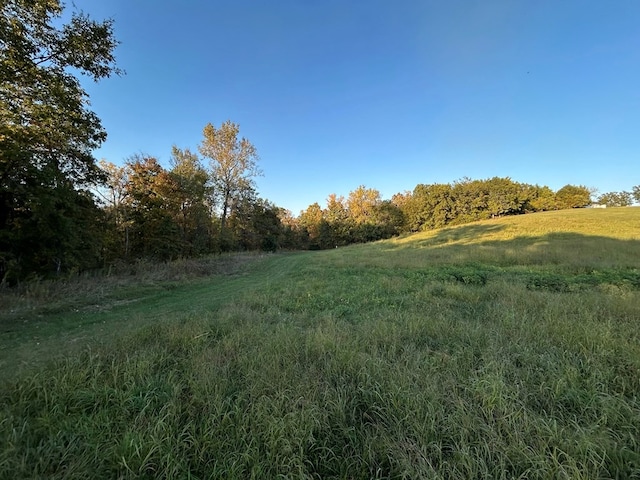 view of yard featuring a rural view