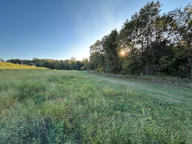 view of local wilderness with a rural view