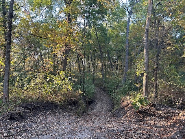 view of local wilderness