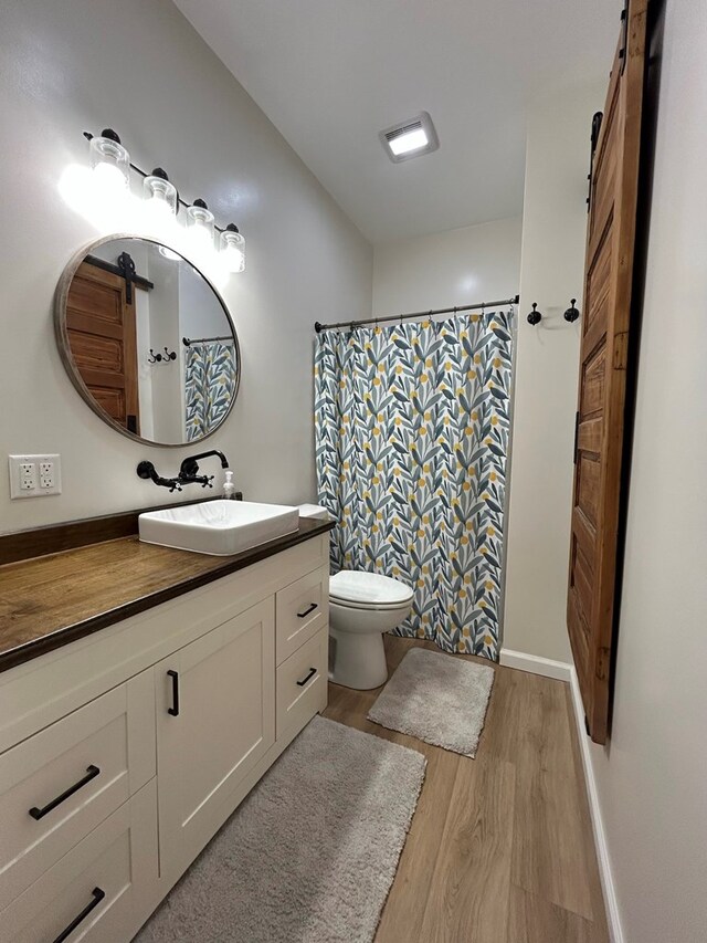 bathroom featuring wood-type flooring, vanity, toilet, and curtained shower