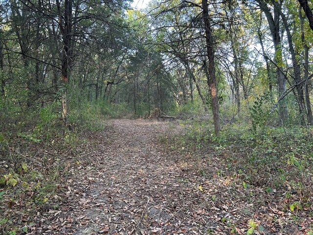 view of local wilderness