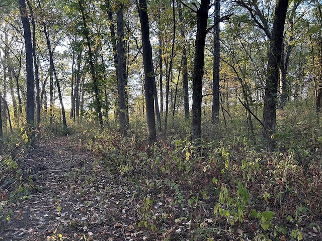 view of landscape