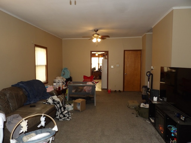 carpeted living room featuring crown molding and a ceiling fan