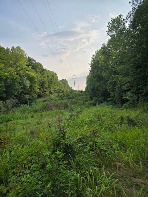 1 Fox Rd, Purdin, MO 64674