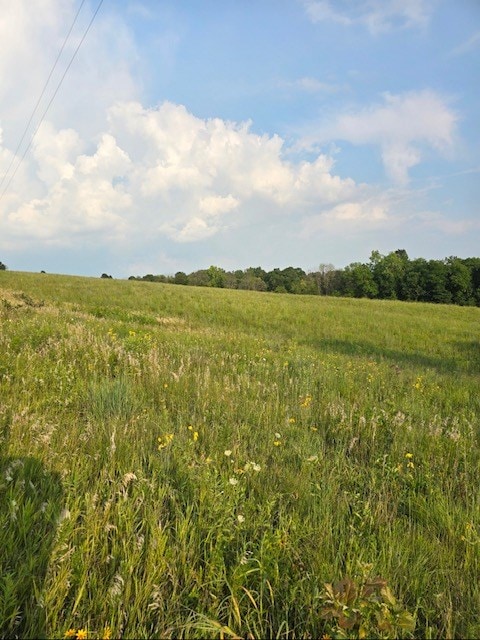 1 Fox Rd, Purdin, MO 64674