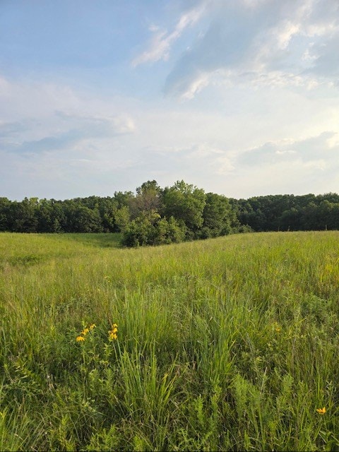 1 Fox Rd, Purdin, MO 64674