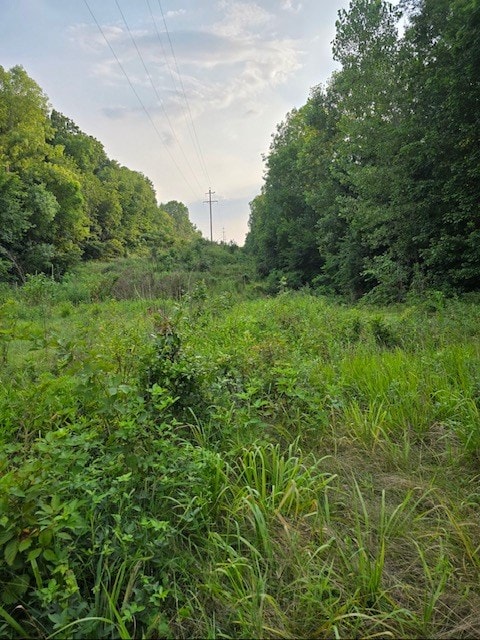 1 Fox Rd, Purdin, MO 64674