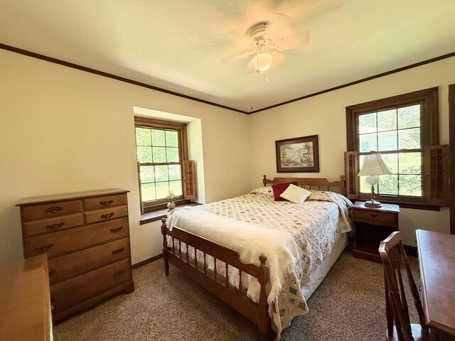1921 First St, Kirksville, MO 63501 - bedroom featuring carpet, multiple windows, crown molding, and a ceiling fan