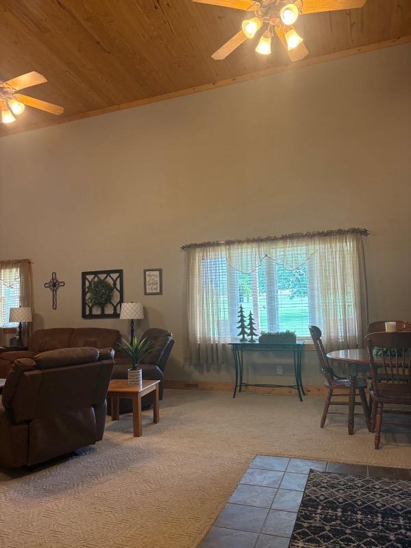 15807 Liv 312, Chillicothe, MO 64601 - photo 11