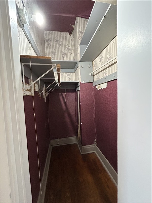 spacious closet with dark wood-type flooring