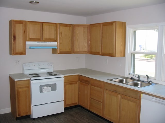 kitchen featuring dark hardwood / wood-style flooring, sink, and white appliances