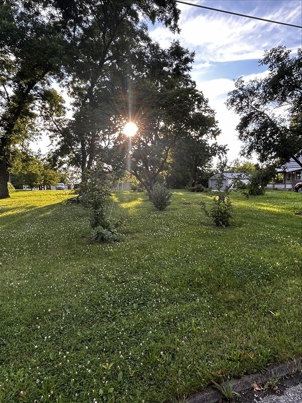 1617 N Church St, Marceline, MO 64658 - view of green lawn