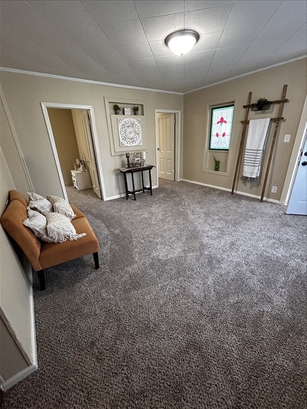 1617 N Church St, Marceline, MO 64658 - sitting room featuring crown molding and carpet flooring