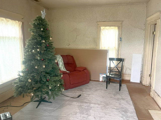 307 4th St, Ludlow, MO 64656 - sitting room featuring plenty of natural light and carpet